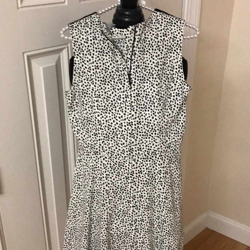 Dress - Picture 6 of 6